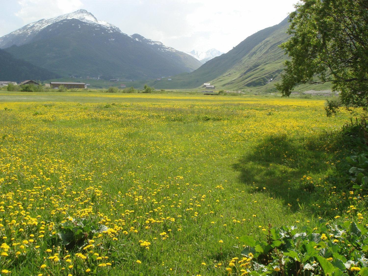 Gasthaus Skiklub Andermatt Exteriör bild